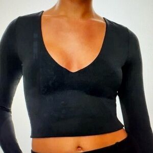 Babaton Black Deep V-Neck Crop Top from Aritzia